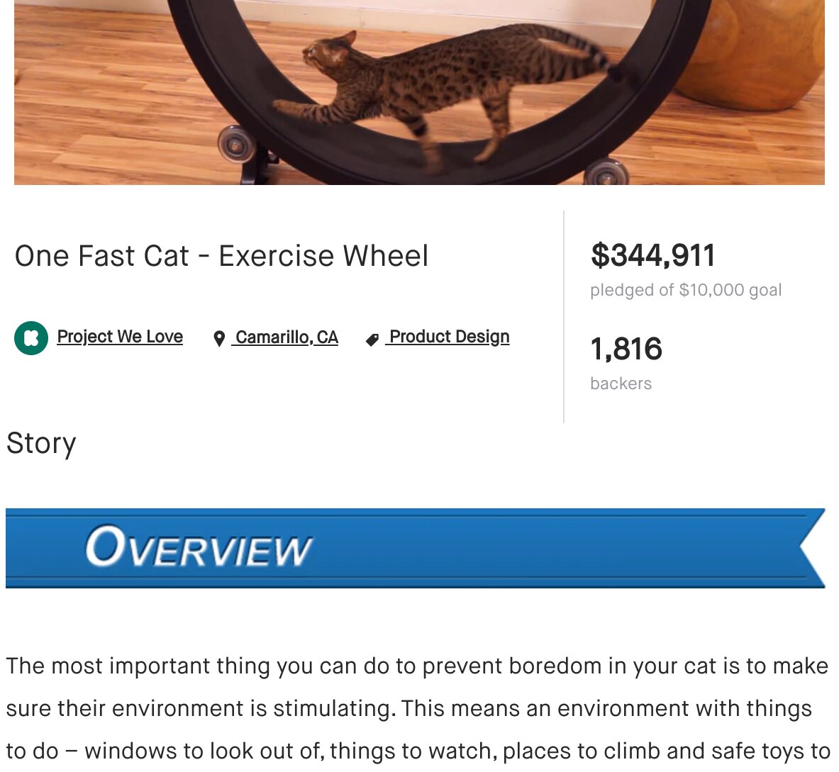 One Fast Cat Beat It's Goal On Kickstarter